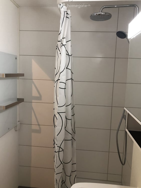 Helles 2.5-Zimmer-Loft an der Hauptstrasse in Bottenwil 15