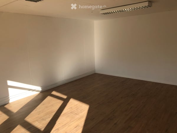 Helles 2.5-Zimmer-Loft an der Hauptstrasse in Bottenwil 3