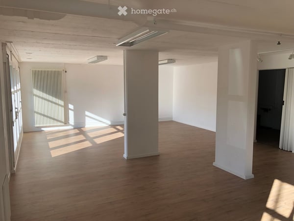 Helles 2.5-Zimmer-Loft an der Hauptstrasse in Bottenwil 4