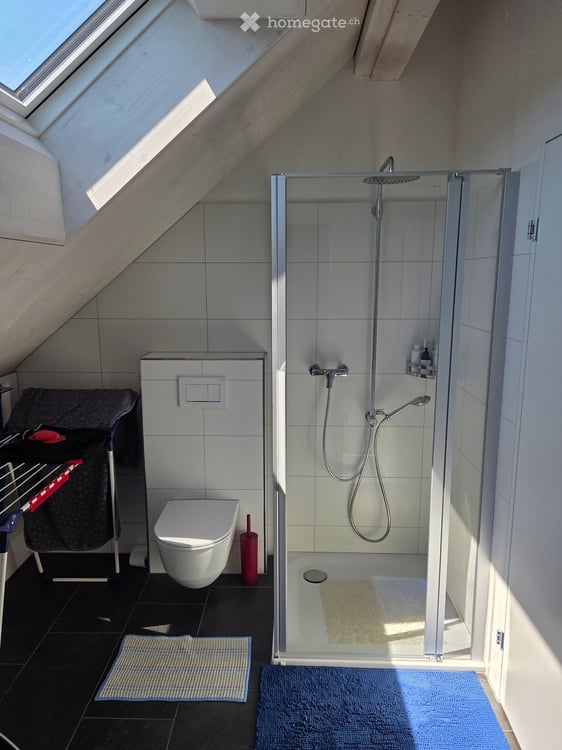 Charmante 4.5-Zimmer-Dachwohnung in Rorbas – modern, ruhig und tierfreundlich und bezahlbar 5