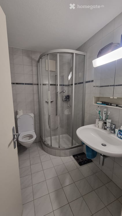 Sonnendurchflutete 4.5-Zimmer-Wohnung mit traumhafter Sicht auf den Walensee 7