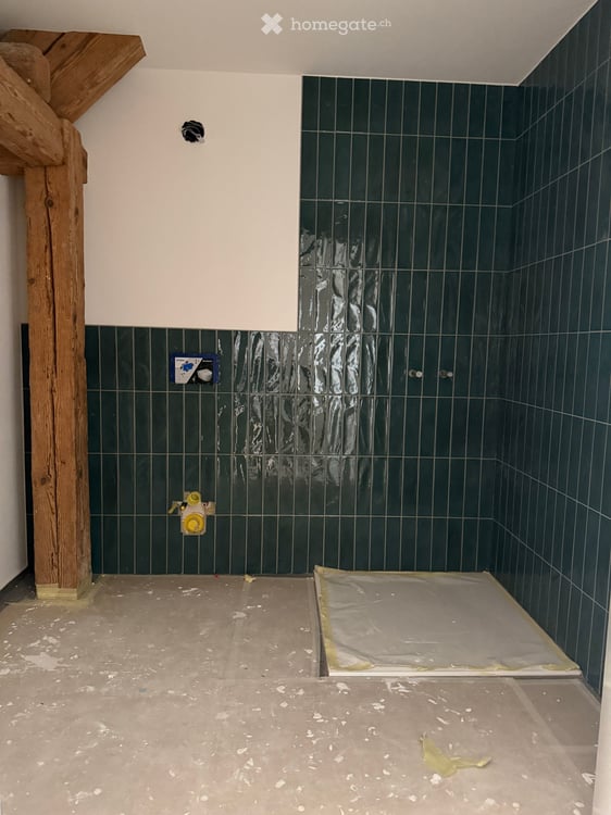 3.5-Zimmer-Wohnung in traumhafter Landlage 7