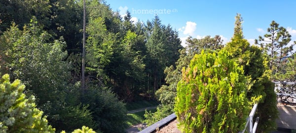 Helle 3.5-Zimmer-Attikawohnung in ruhiger Lage in Birmensdorf mit Aussicht 21