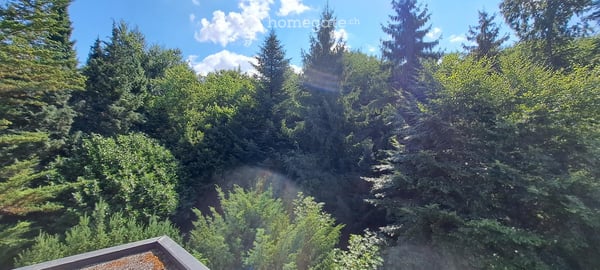 Helle 3.5-Zimmer-Attikawohnung in ruhiger Lage in Birmensdorf mit Aussicht 20