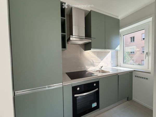 3.5 locali con giardino privato di 100 m² — Massagno, prima locazione 10