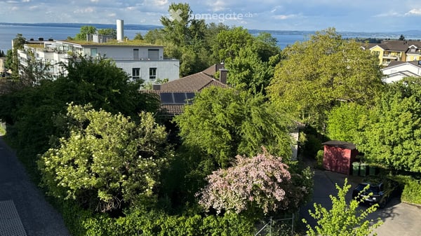 Grosszügiges 8.5-Zimmer-Einfamilienhaus in Rorschacherberg 3