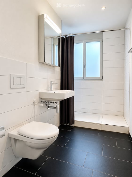 Wunderschöne Dachwohnung mit toller Terrasse zu vermieten! 10