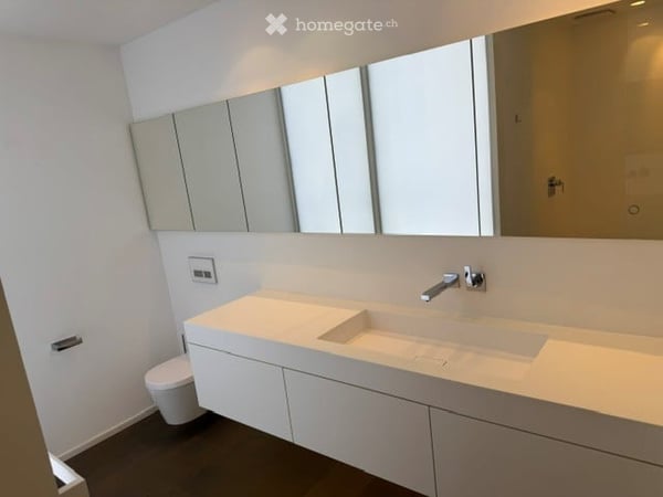 Exklusives 6.5-Zimmer-Einfamilienhaus mit Pool und Seesicht in Jona 6