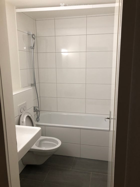 Charmantes 1.5-Zimmer-Apartment in Basel – sofort verfügbar 4