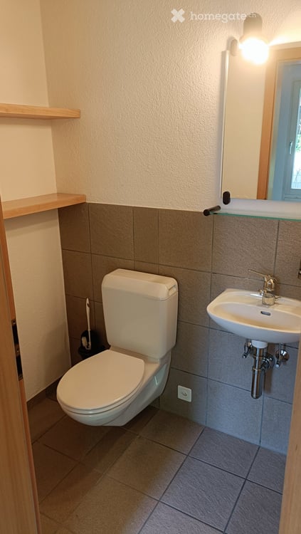 Charmantes 6.5-Zimmer-Reihenhaus mit Kamin in Wetzikon ZH 11