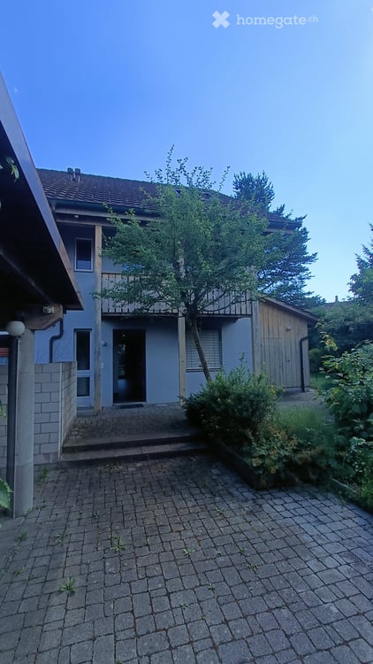 Charmantes 6.5-Zimmer-Reihenhaus mit Kamin in Wetzikon ZH 3