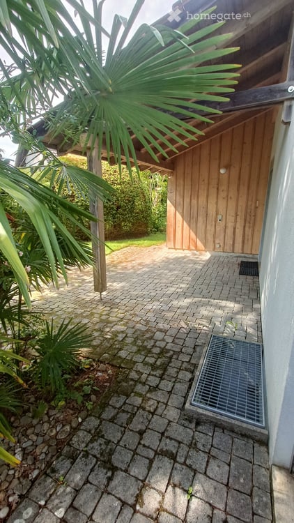 Charmantes 6.5-Zimmer-Reihenhaus mit Kamin in Wetzikon ZH 4