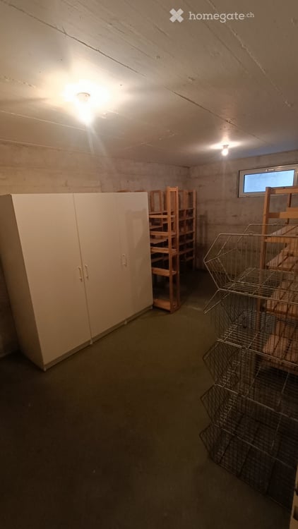 Charmantes 6.5-Zimmer-Reihenhaus mit Kamin in Wetzikon ZH 17