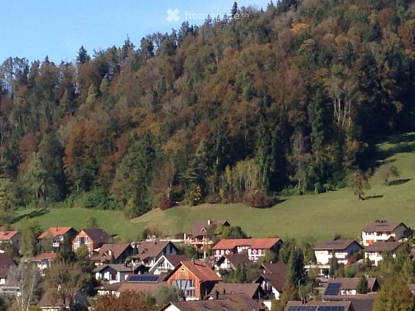 Gemütliche 1-Zimmer-Wohnung mit Balkon in ruhiger Lage Turbenthal 2