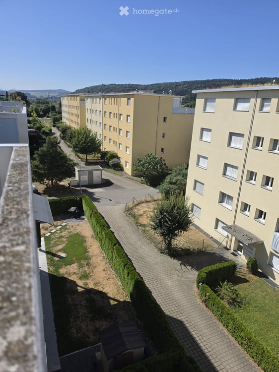 Attika Oase in Dintikon 3