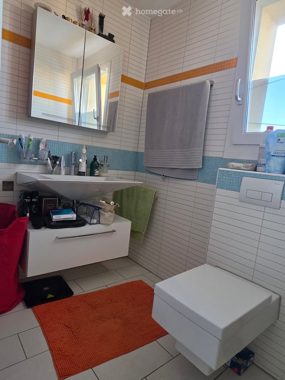 Helle 2.5-Zimmer-Attikawohnung mit 95 m²  Dachterrasse 11