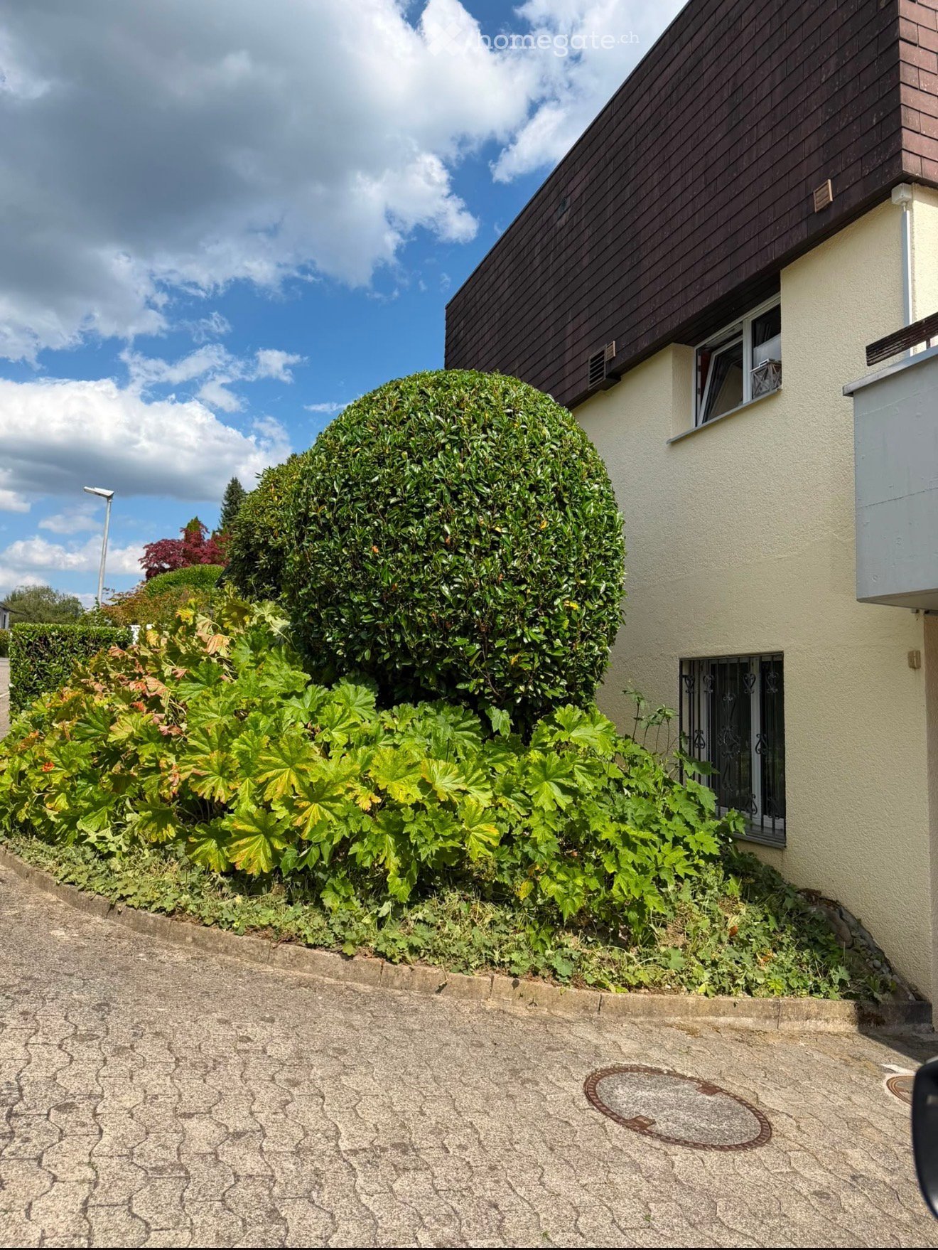 A well-maintained garden with a large, round topiary, lush green plants, and a paved driveway leading to a two-story house with a dark roof and light-colored walls.