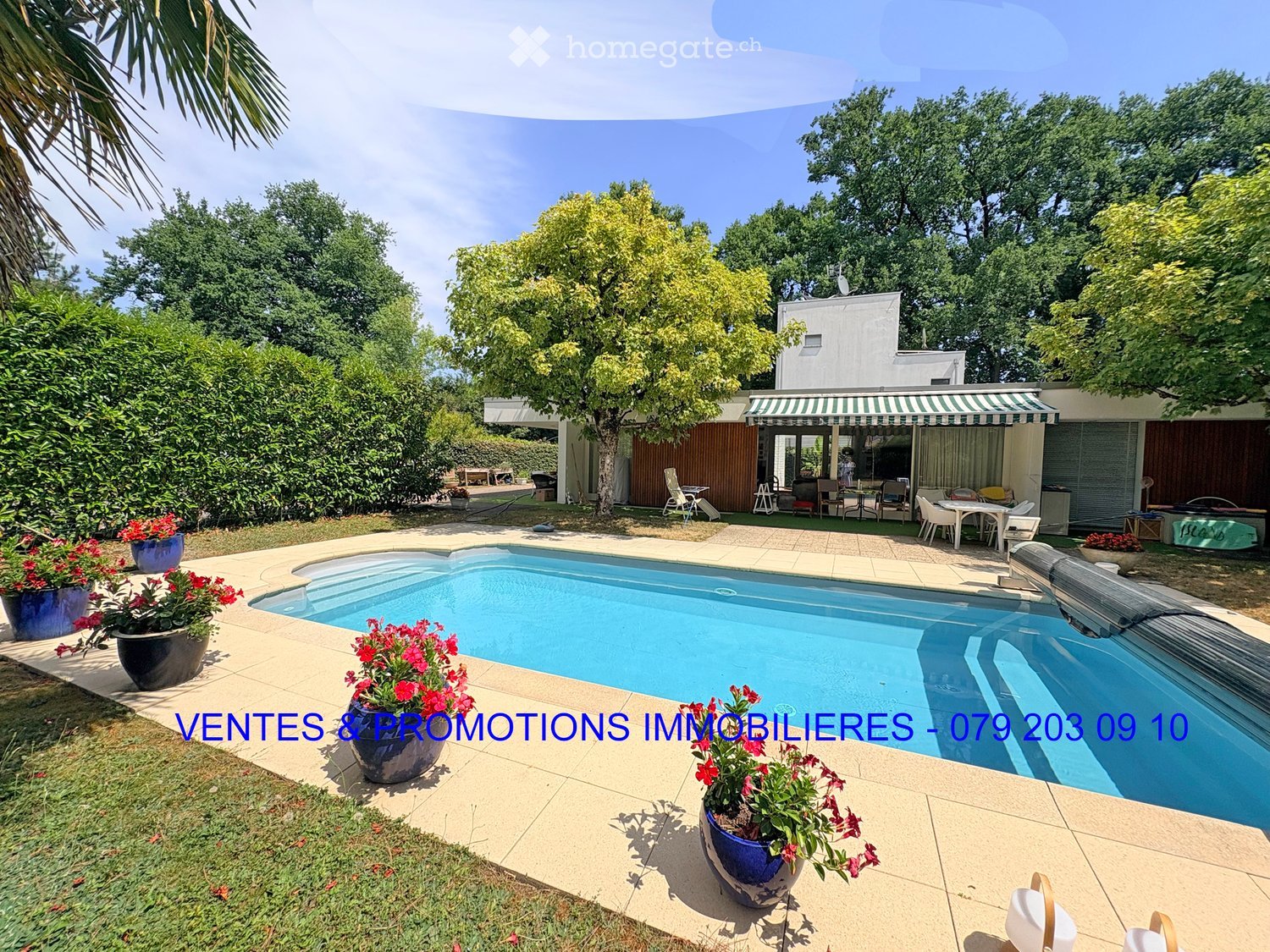 Outdoor garden area with a swimming pool, surrounded by potted plants and a modern house with a covered patio area.