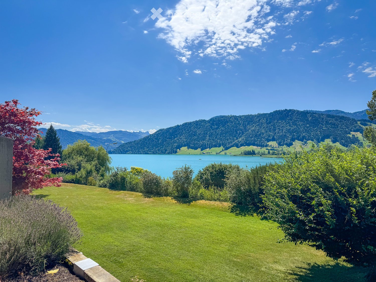 A well-maintained garden with a lush green lawn, surrounded by bushes and trees, overlooking a serene lake and distant mountains under a clear blue sky.