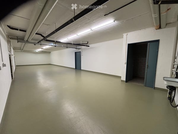 Ab sofort - Großzügige Lagerfläche in Winterthur 5