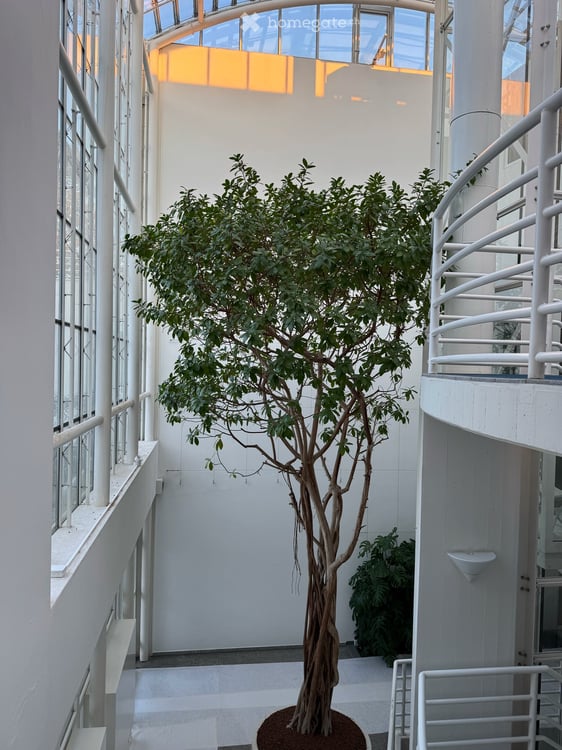 Helle 3.5-Zimmer-Wohnung mit Balkon und schöner Aussicht in Zürich-Witikon,teils mobiliert. 10