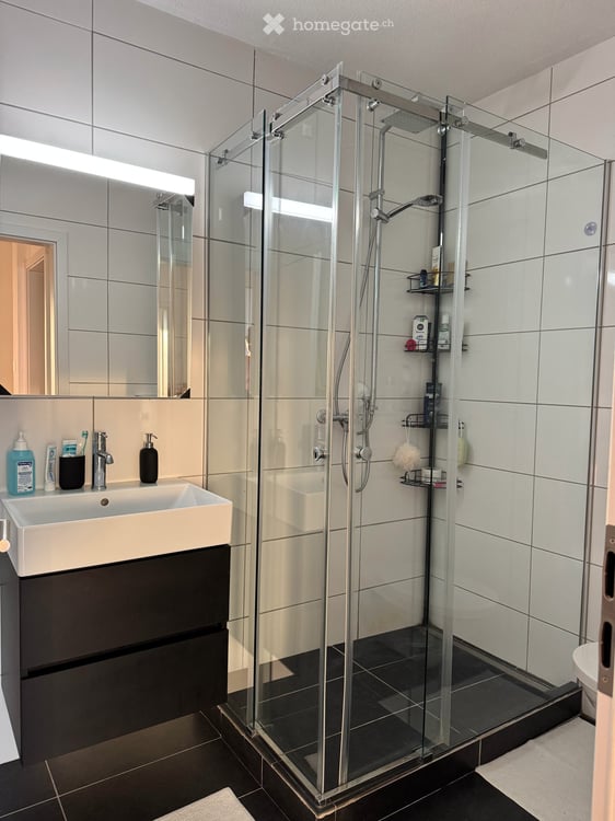 Helle 3.5-Zimmer-Wohnung mit Balkon und schöner Aussicht in Zürich-Witikon,teils mobiliert. 15