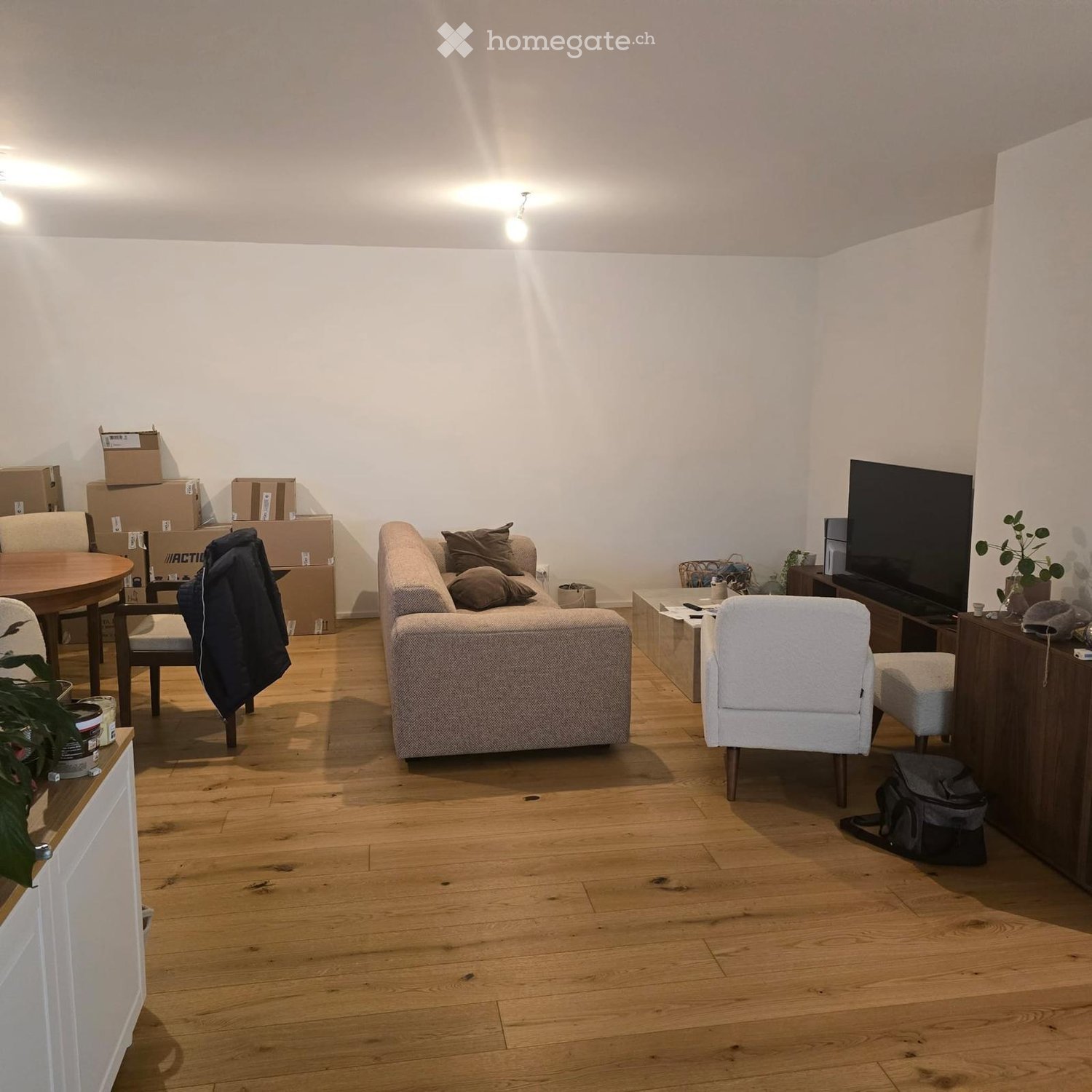 Living room with wooden flooring, a sofa, a chair, a table, a television, and some plants.