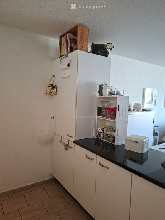 Helle 2.5-Zimmer-Terrassenwohnung im 6. OG mit traumhafter Aussicht in Winterthur 5