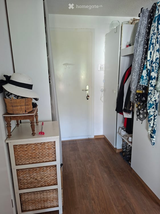 Helle 2.5-Zimmer-Terrassenwohnung im 6. OG mit traumhafter Aussicht in Winterthur 1