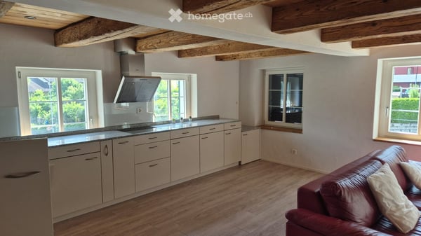 2.5-Zi Wohnung in Ebikon 2