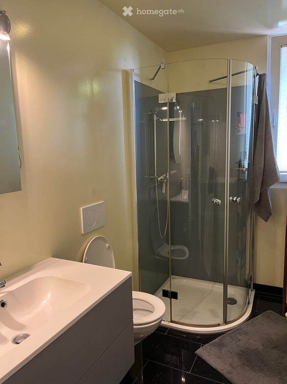 Modernes 3.5-Zimmer-Einfamilienhaus mit Seeanstoss in Biel – ab Oktober 2026 11