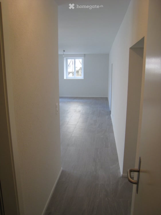 Magnifique loft de 58 m², av. des Alpes, Lausanne. Situation idéale au calme pour une personne seule 5