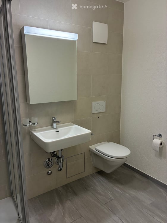 Magnifique loft de 58 m², av. des Alpes, Lausanne. Situation idéale au calme pour une personne seule 7