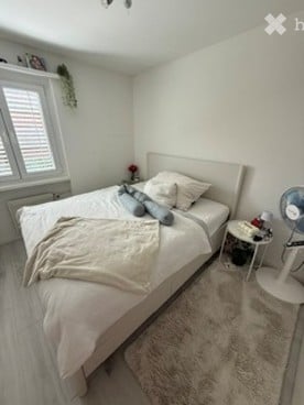 Helle 4-Zimmer-Wohnung mit Balkon in Winterthur 6