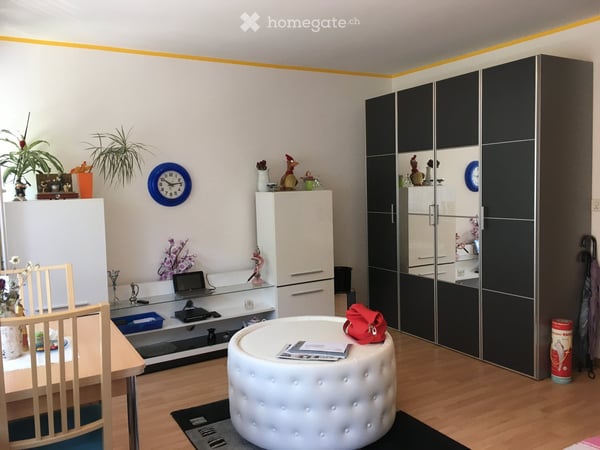 Zentral gelegene, helle 1-Zi Wohnung zu verkaufen 2