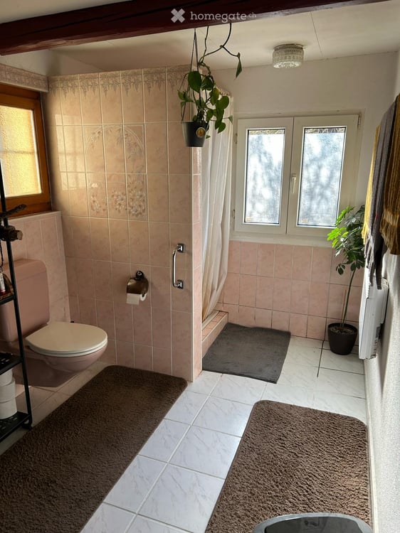 Charmanter Bauernhof zur Miete in Turbenthal – 4 Zimmer mit Umschwung 6