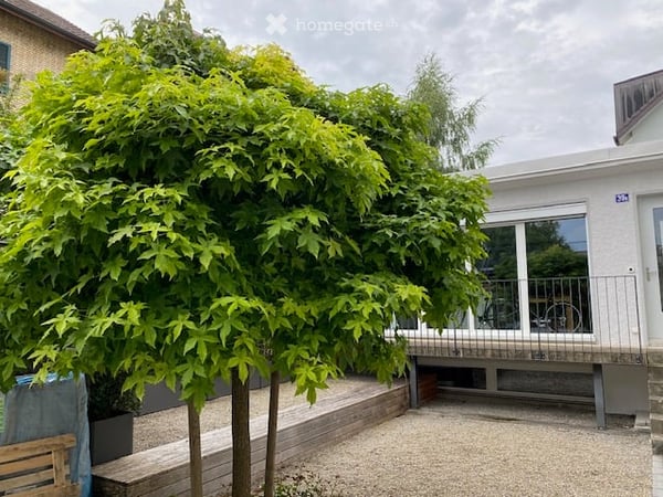1-Zi Wohnung im 2. Obergeschoss in der Tössfeldstrasse 19 in Winterthur 1