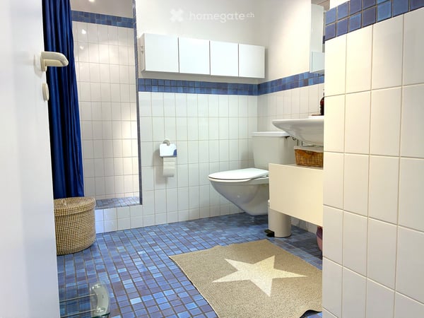 Exklusives Anwesen mit Entwicklungspotenzial an privilegierter Wohnlage in Urdorf 14