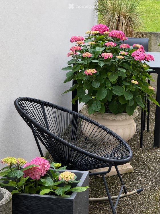 Charmant appartement de 2.5 pièces avec terrasse à Bex 21