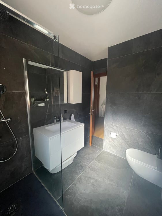 VISTA LAGO - appartamento di 3.5 locali a Massagno – Vista panoramica e tranquillità garantita 4