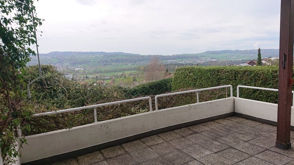 6½-Zimmer-Einfamilienhaus im Landhausstil mit Weitsicht, Terrasse und Doppelgarage in Seengen 1