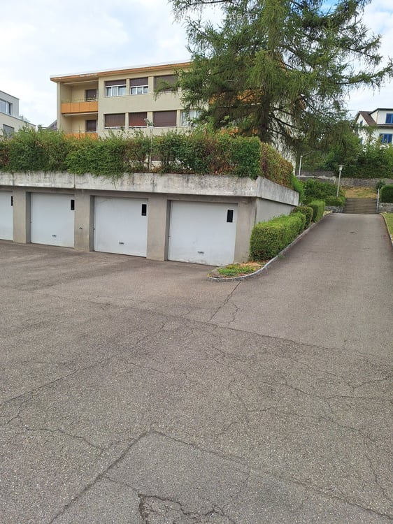 Günstige 4.5-Zimmer-Wohnung mit Balkon und schöner Aussicht in Tann 16
