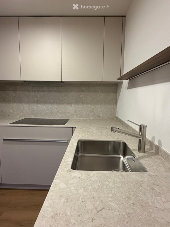 Hochwertig renovierte 2.5 Zi-Wohnung, inkl Einstellplatz, nähe Bahnhof 4