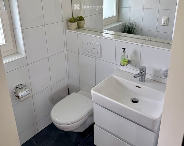 Grosses 7.5-Zimmer-Doppeleinfamilienhaus mit Weitsicht in ruhiger Privatstrasse 6