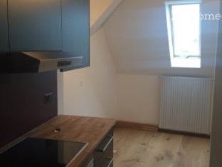 Duplex en attique avec cachet ·  5e et dernier étage · ascenseur · grand jardin arborisé 5