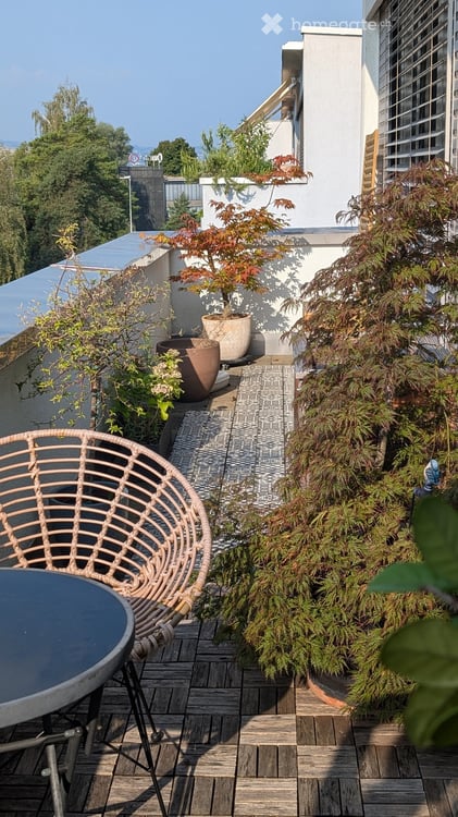 Helle 3.5-Zimmer-Attikawohnung mit Berg- und Seeblick 3