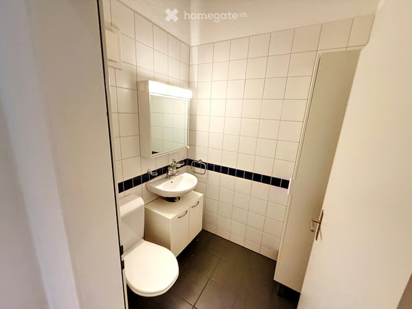 Vollmöblierte 2.5-Zimmer-Dachwohnung mit Seesicht in Thalwil, 3 Minuten vom Bahnhof 19