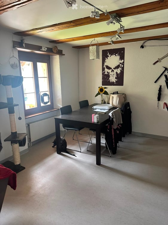 Charmante 4-Zimmer-Maisonette-Wohnung in Erlinsbach 5