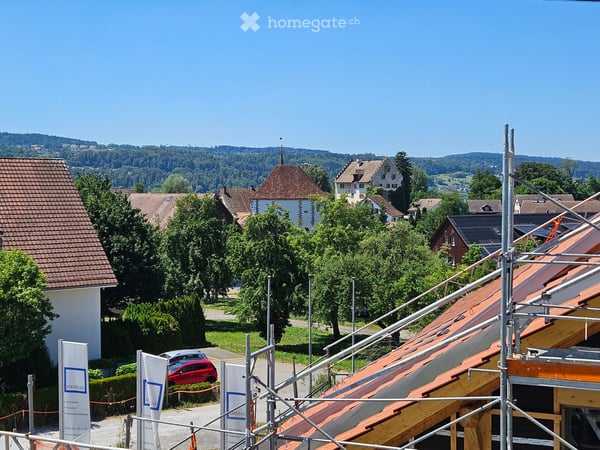 EG-Wohnung in Greifensee 1