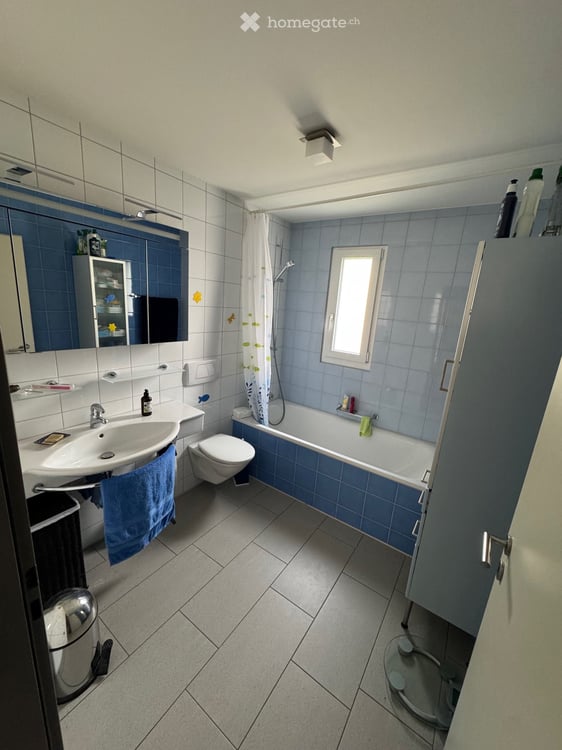 Grosszügiges 6.5-Zimmer-Doppelhaus zur Miete in Wetzikon ZH 7